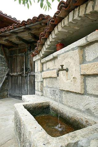 ז'רבנה The House With The Vine Guest House מראה חיצוני תמונה