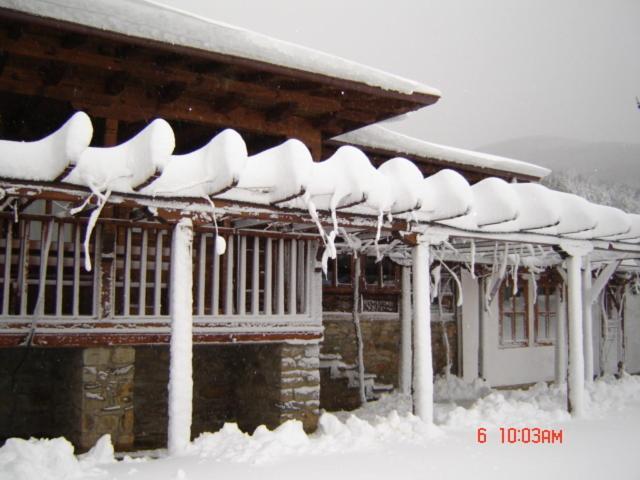 ז'רבנה The House With The Vine Guest House מראה חיצוני תמונה